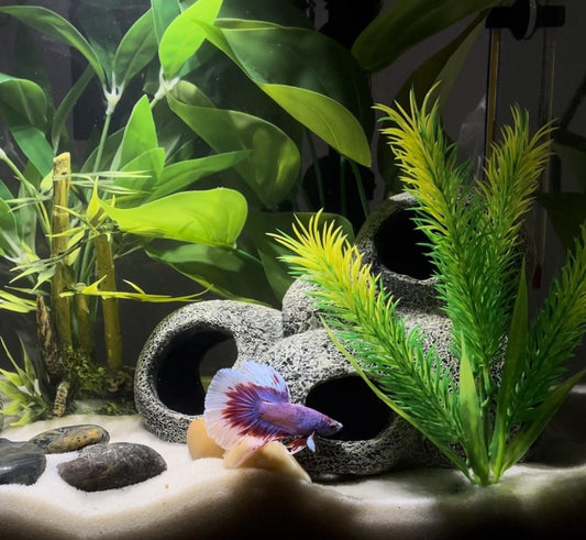 Multi-Cave Stacked Rock Formation Hideout for Aquarium Landscaping