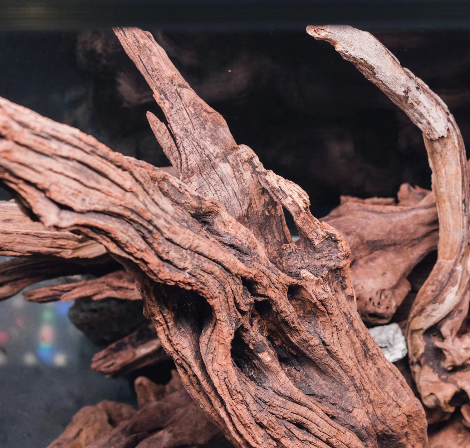 Twisted Natural Root Driftwood for Aquascape Layout Decoration