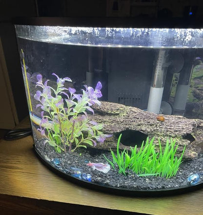 Natural Textured Hollow Driftwood-Style Hideaway for Aquarium Habitat