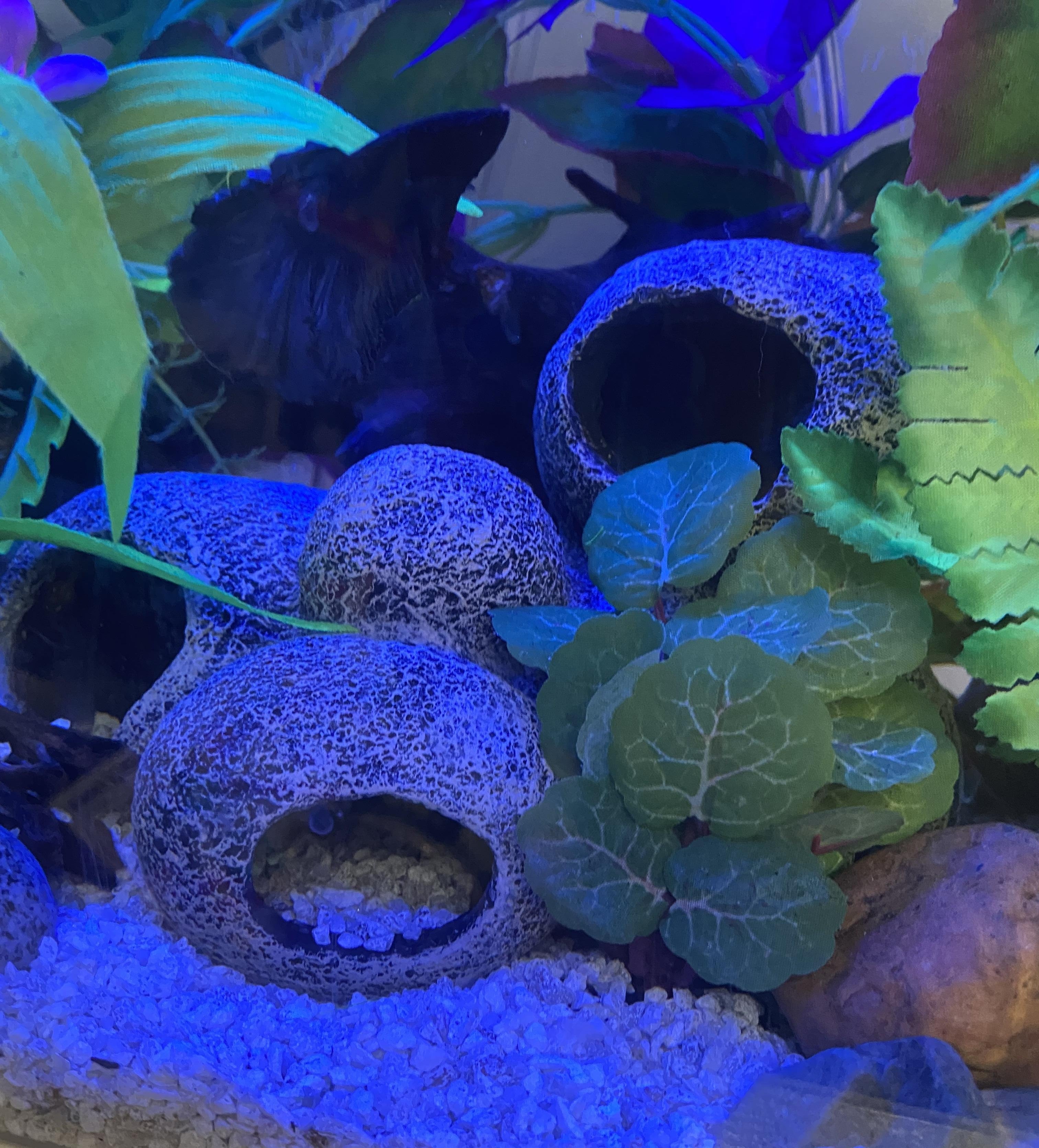 Multi-Cave Stacked Rock Formation Hideout for Aquarium Landscaping