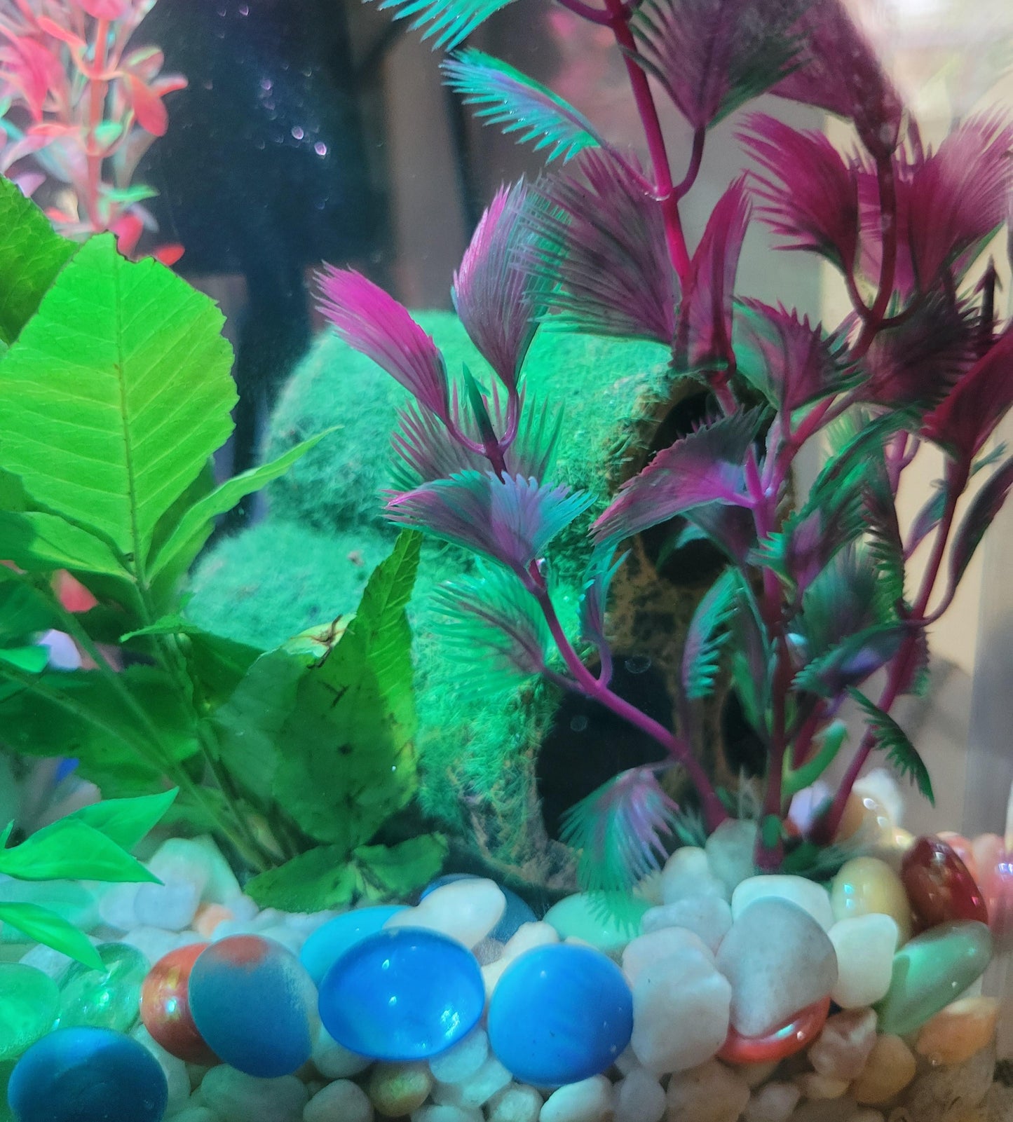 Triple Moss-Covered Hollow Pipe Hideout for Aquariums