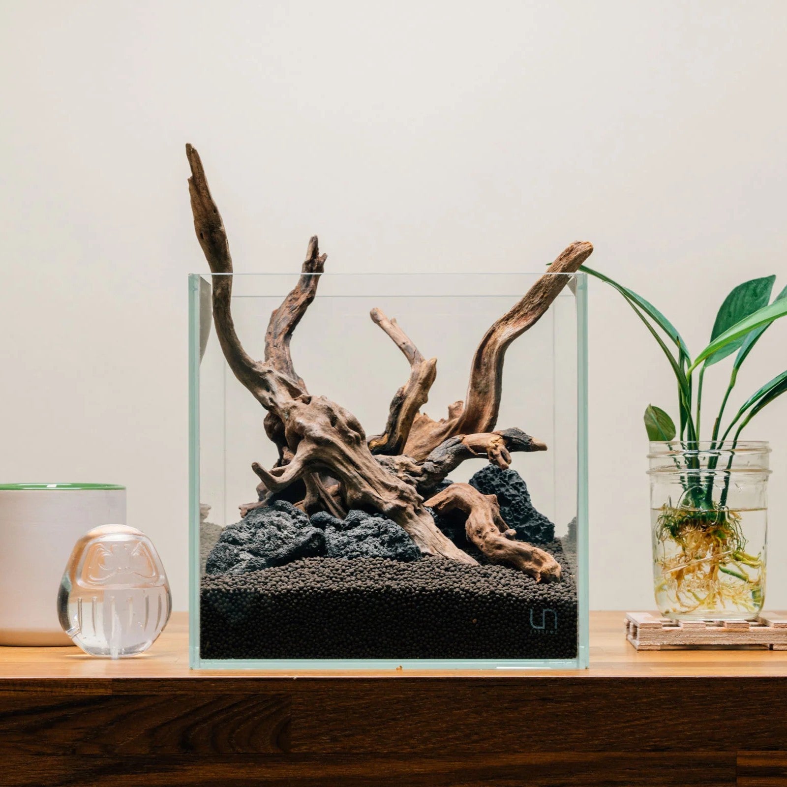Twisted Natural Root Driftwood for Aquascape Layout Decoration