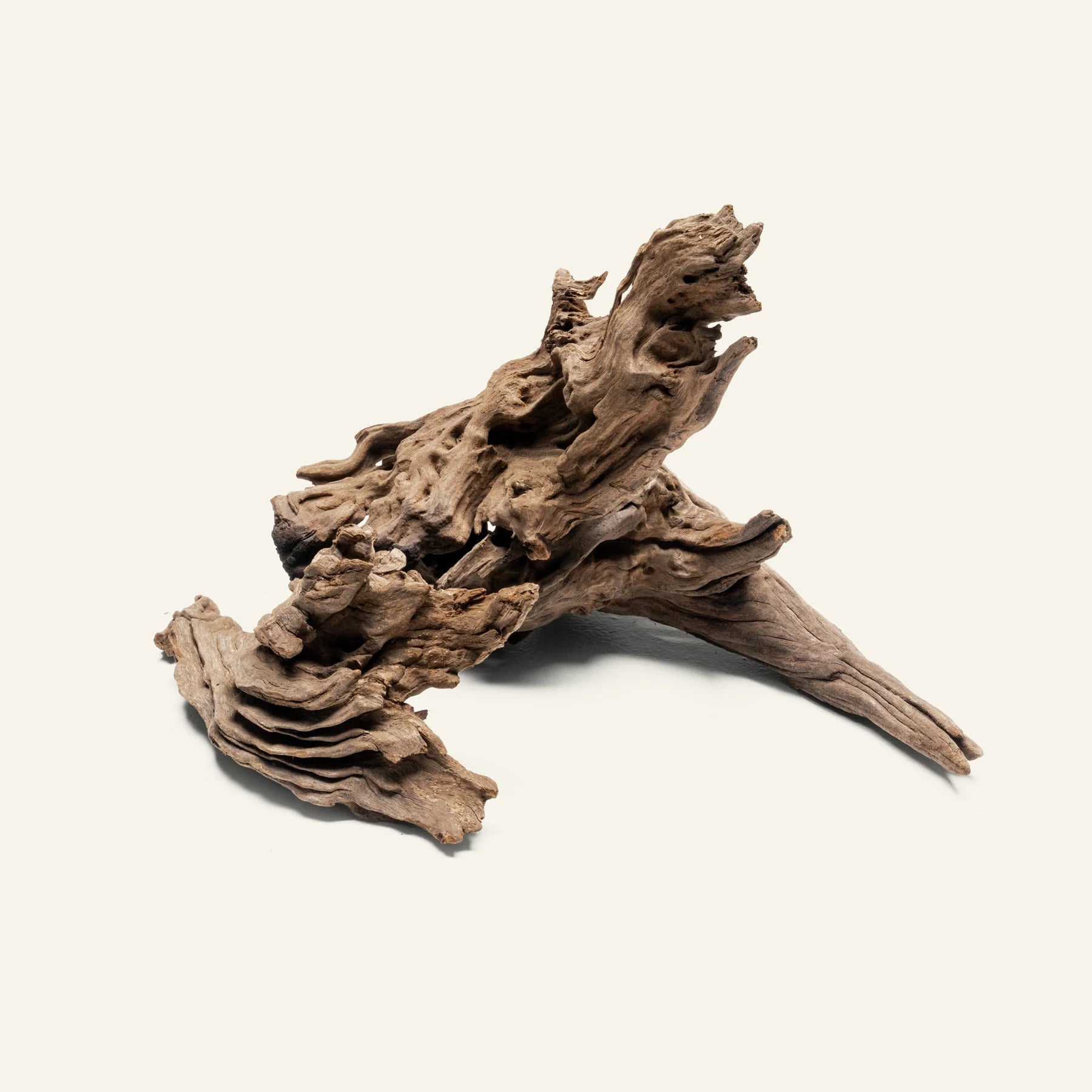 Twisted Natural Root Driftwood for Aquascape Layout Decoration