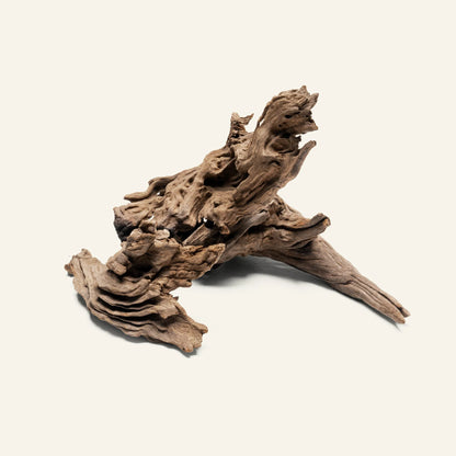 Twisted Natural Root Driftwood for Aquascape Layout Decoration
