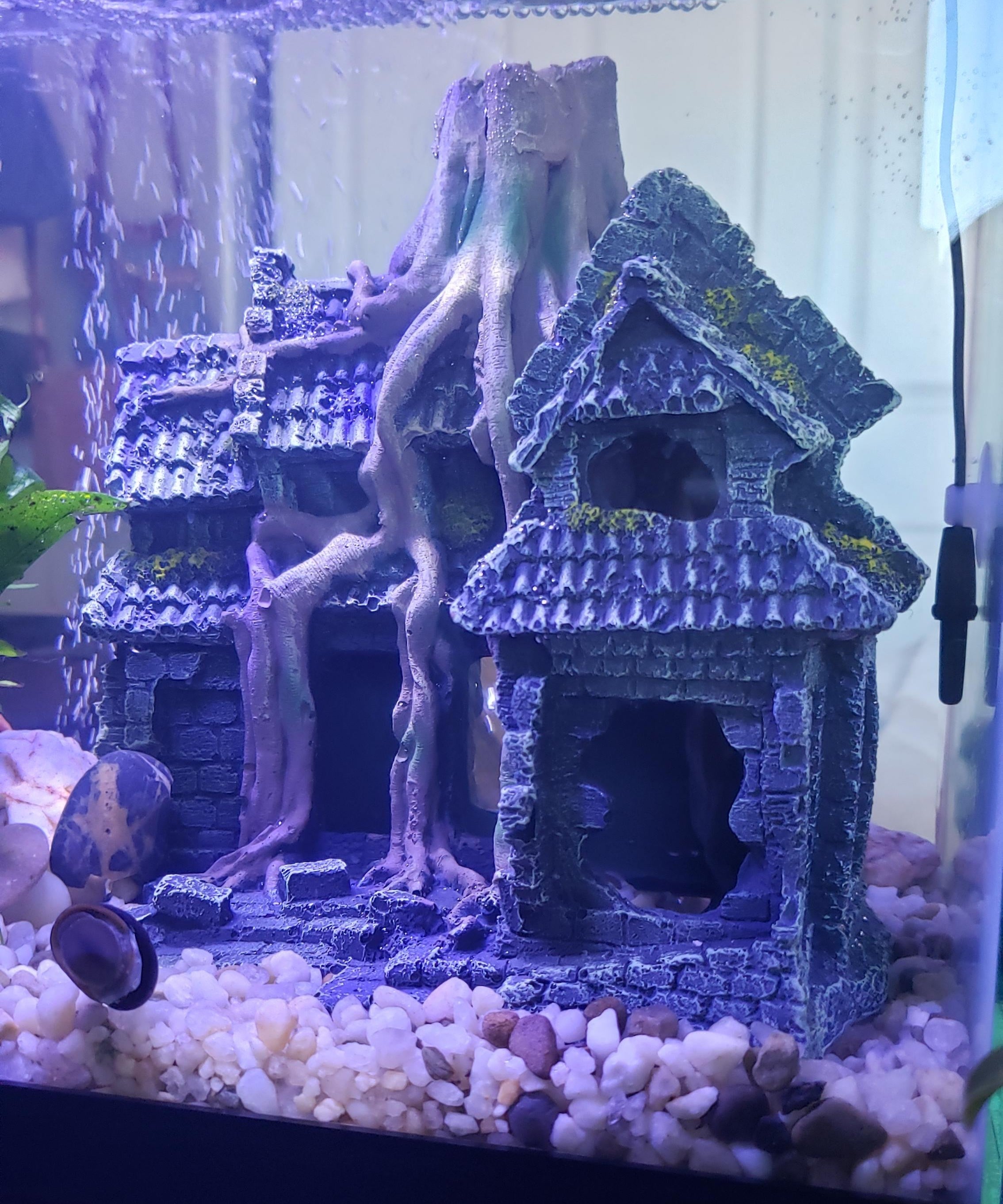 Ancient Root-Wrapped Ruined Cottage Underwater Landscape Ornament